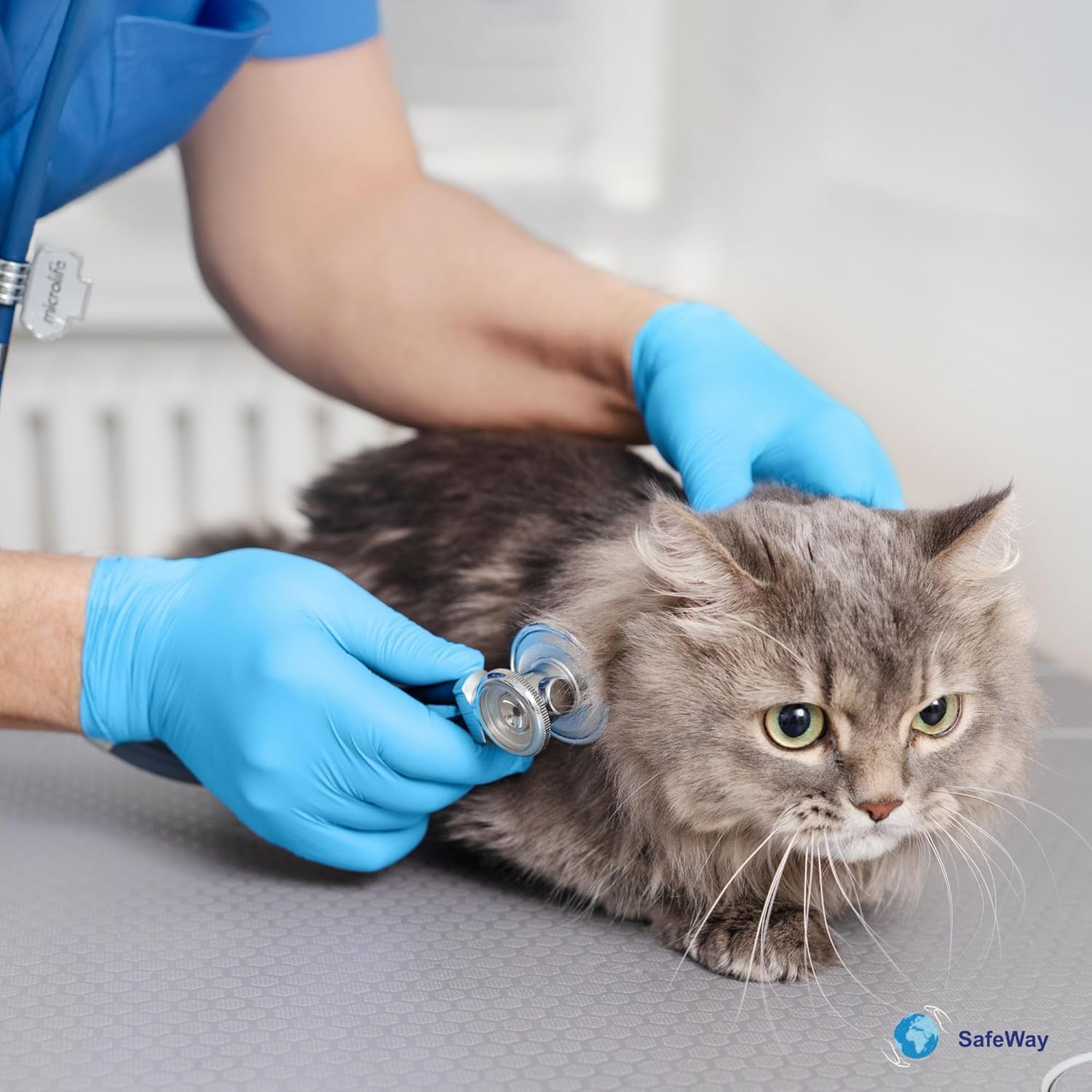 Premium Nitrile-Vinyl Blended Disposable Gloves(Blue) - 1000 Count